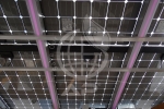AP-SOLAR-104